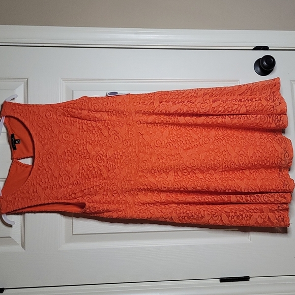 City Triangles Dresses & Skirts - City Triangles- Lace Dress- 2XL